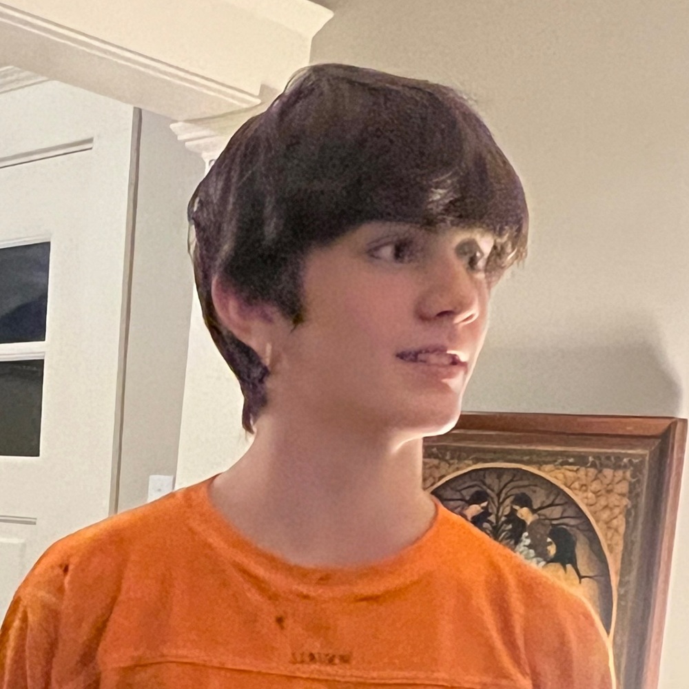 Meet your Posher, Orion